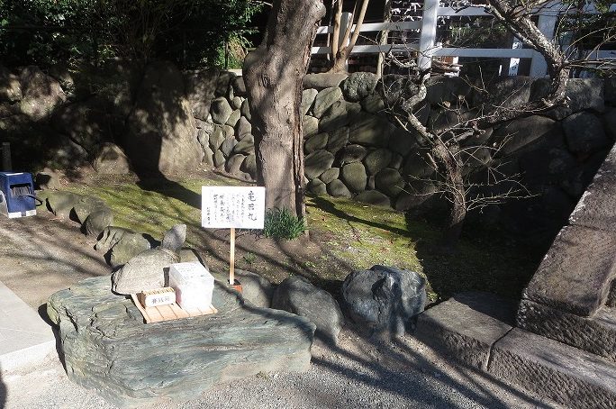 亀若丸