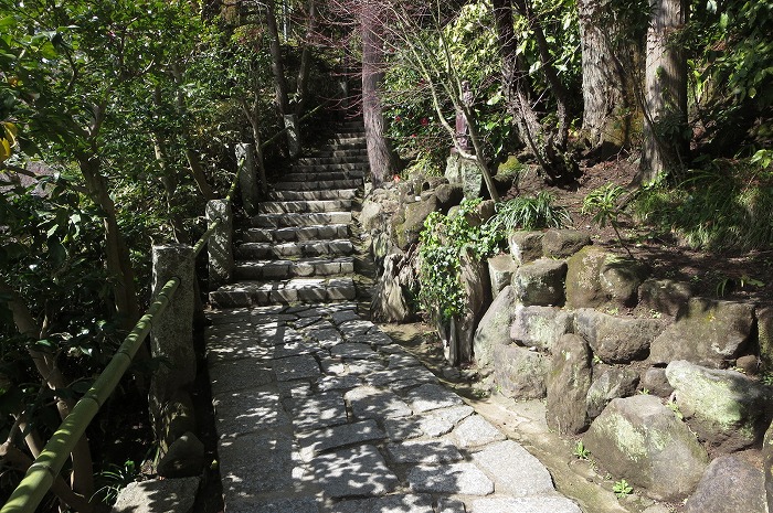 杉本寺 苔の階段が素晴らしい鎌倉最古の寺 横浜ライフプラン