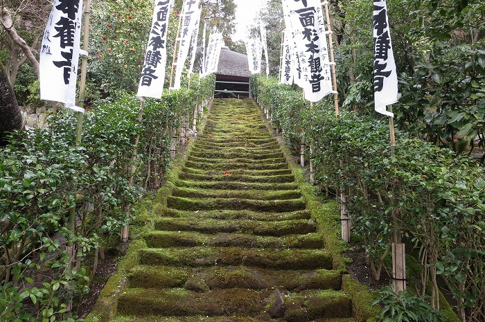杉本寺 苔の階段が素晴らしい鎌倉最古の寺 横浜ライフプラン